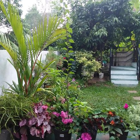 Jungle View One Bedroom Private Apartment อูนาวาตูนา ภายนอก รูปภาพ