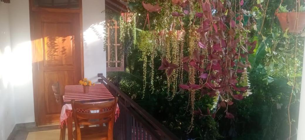 Jungle View One Bedroom Private Apartment อูนาวาตูนา ภายนอก รูปภาพ