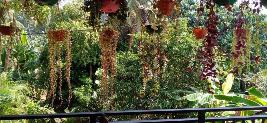 Jungle View One Bedroom Private Apartment อูนาวาตูนา ภายนอก รูปภาพ