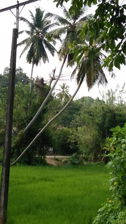 Jungle View One Bedroom Private Apartment อูนาวาตูนา ภายนอก รูปภาพ